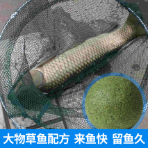 冬季不想收竿的大草鱼玩法，巨物来多少就能钓多少！