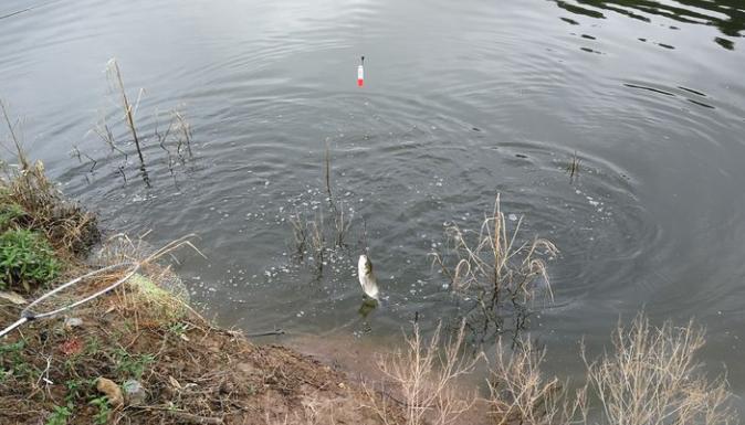 野钓找钓点的技巧，四季通用