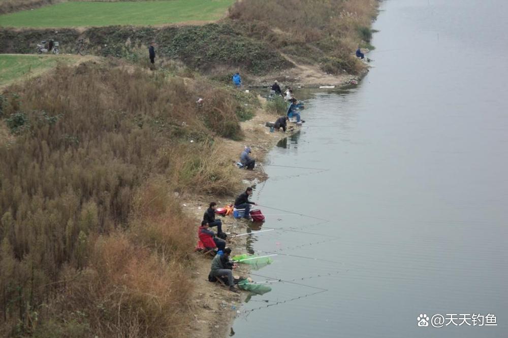 深秋野钓青鱼，用好5个招数，大青鱼还能钓几波