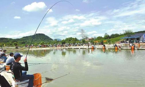 怎样进行垂钓罗非鱼？看完小编的经验，你就会钓罗非鱼了