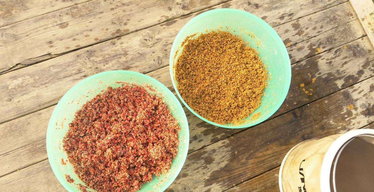 三十多斤的鲢鳙怎么钓？