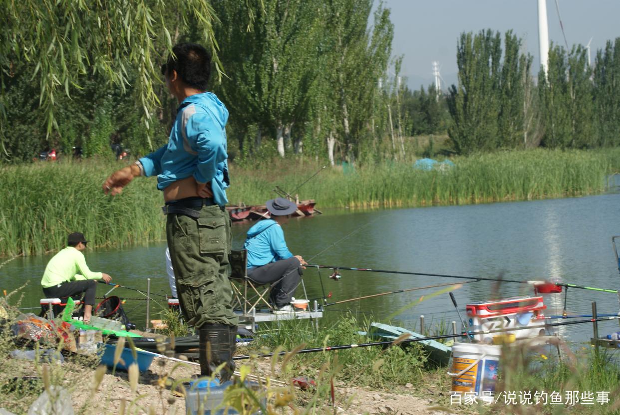 分享钓青鱼的方法