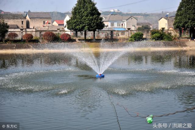 野钓堰塘如何找鱼,堰塘钓怎样选钓点？
