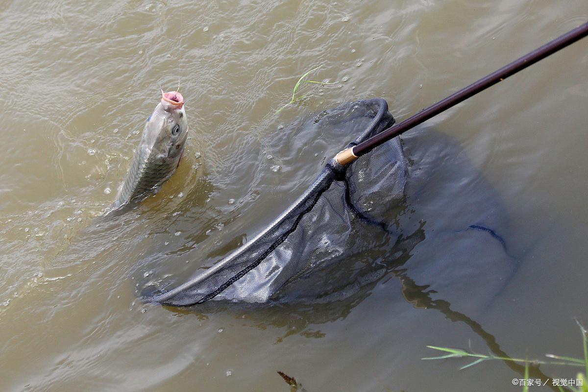 野钓时，遇到这三种情况说明该换钓位了，新手却总是“傻等”
