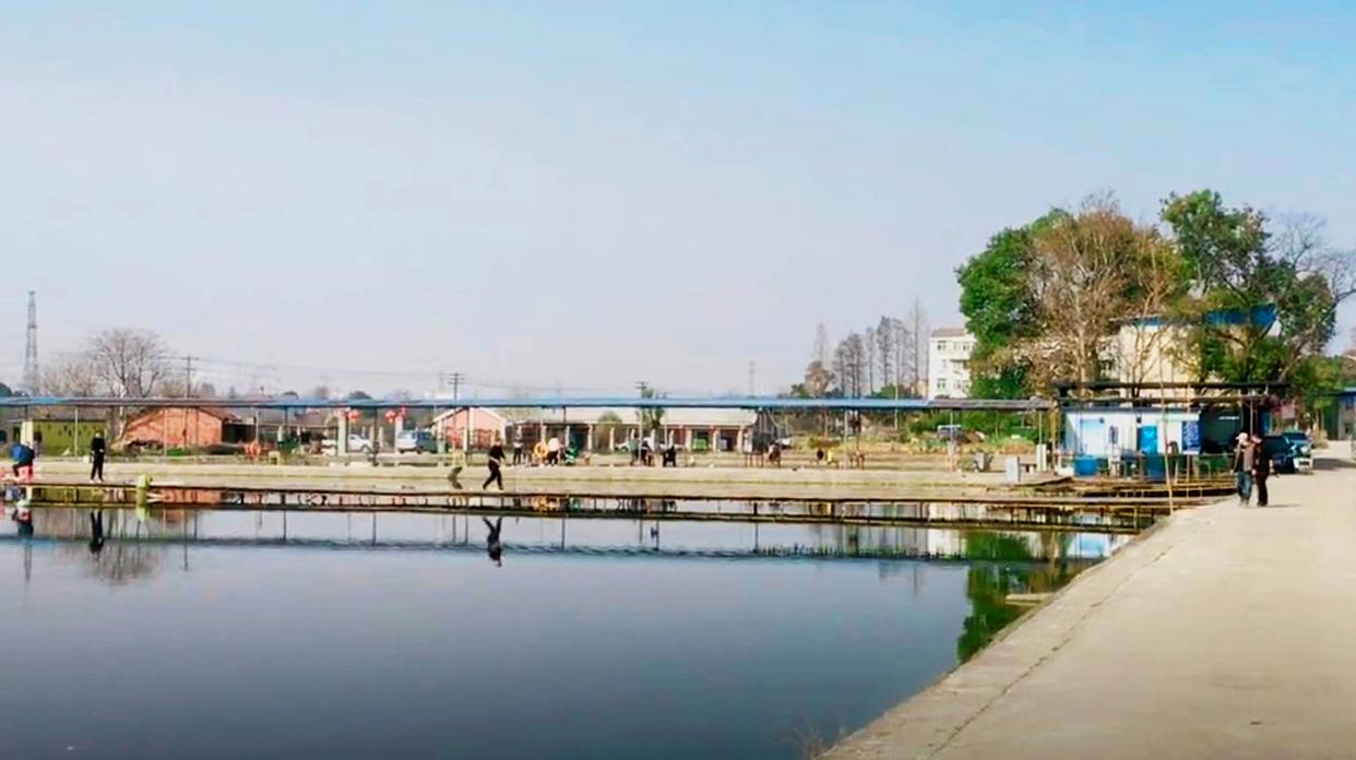 假日在武汉城区这处湖泊野钓，位置偏僻水面广，大板鲫一条接一条