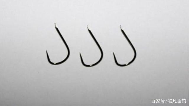 有人说罗飞难钓？我用空钩钓罗飞，渔获简直不要太多