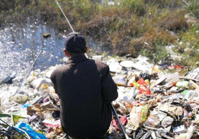 野钓如何判断水里有没有鱼？注意这7个细节，满足一条即可下竿