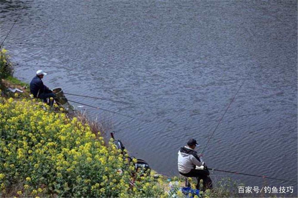 春季钓鲫鱼，记住4个黄金阶段