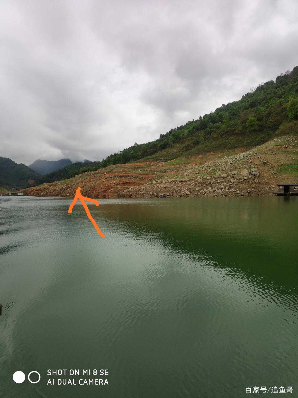 钓不起大罗非？那是你不了解罗非