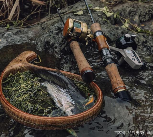 从0开始玩路亚马口鱼：Get这些技能 远离打龟人生，半小时爆护