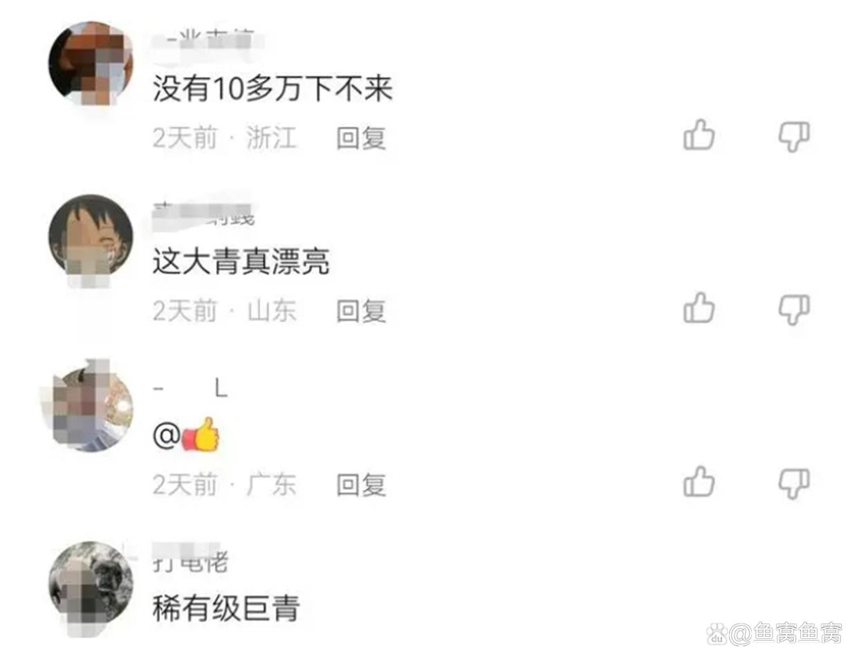 广东钓鱼人把钓获的青鱼养了20年，长到160斤，有人报价10万收购