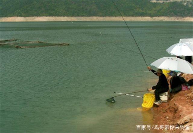 野河垂钓黑鱼时，掌握这些技巧，再也不愁钓不上来