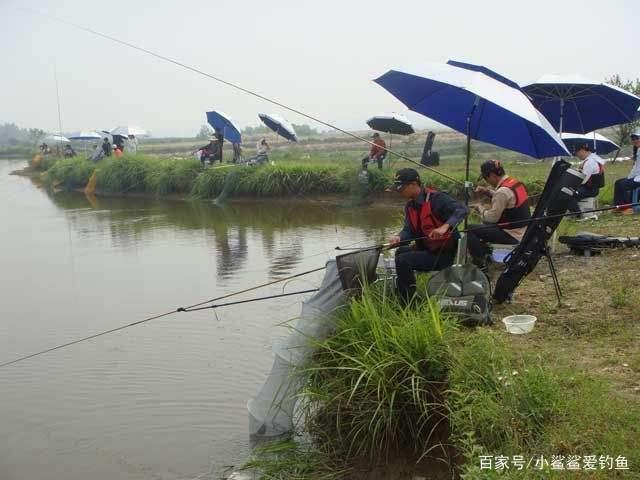 自制钓鲢鳙的饵料方法，比商品饵渔获高一倍！