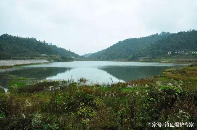 怎样钓鲤鱼最快爆护？钓鱼高手，分享钓鲤鱼4大绝招