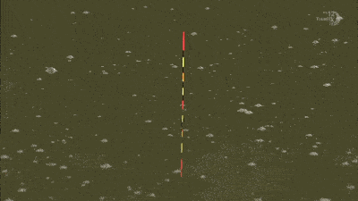 浮漂上下晃动却钓不到鱼，换细线小钩还不行，其实是它来闹窝了！