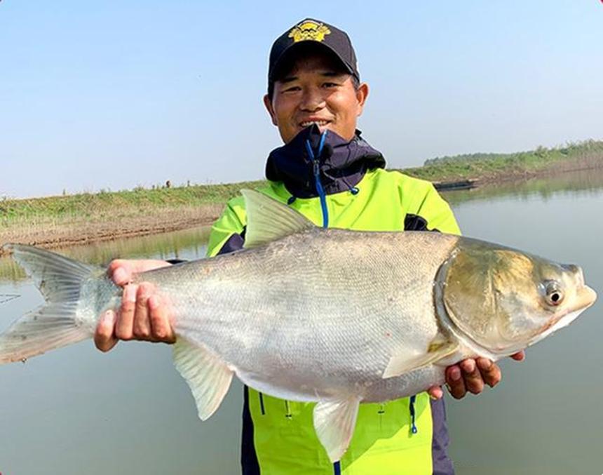 垂钓鲢鳙，除了要学习“邓氏钓法”，这几个技巧也很关键