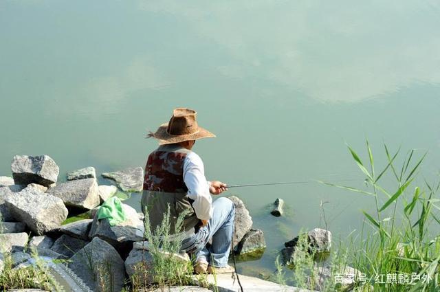 一篇文章搞懂怎么钓罗非，全都是知识点