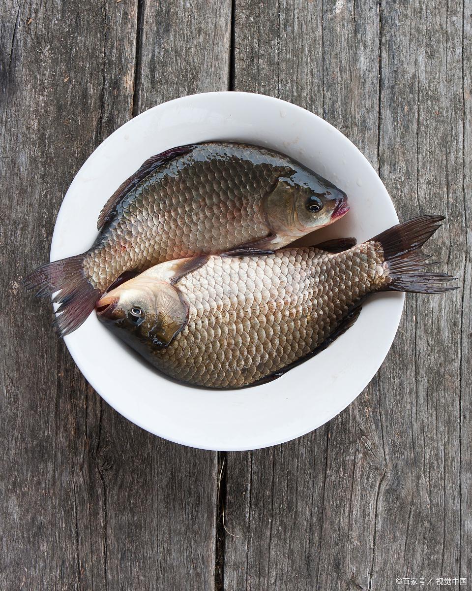 春季钓鲫鱼分时节不同的钓鱼技巧