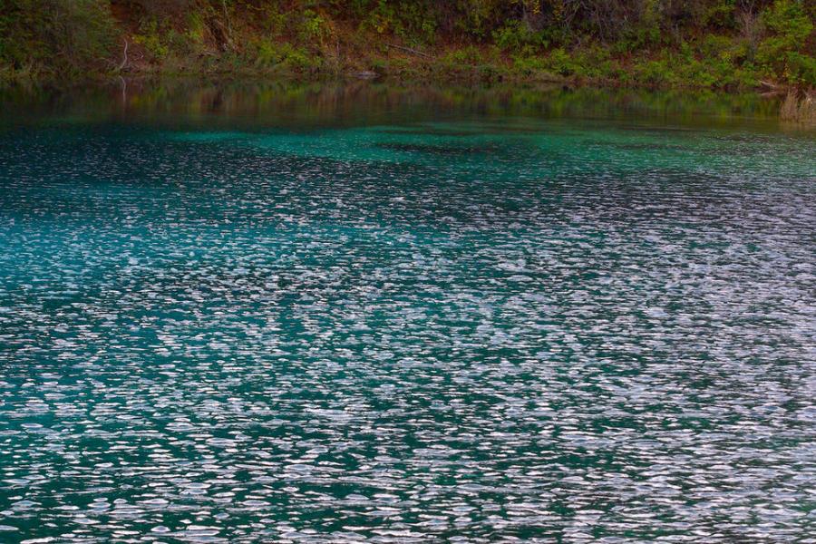 夏季钓鲢鳙的季节，有规律可循，懂了鲢鳙不是很难钓