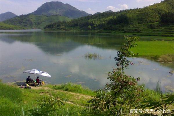 手竿钓鲤鱼的5大要点，就用这些常用方法，大鲤鱼不难钓！