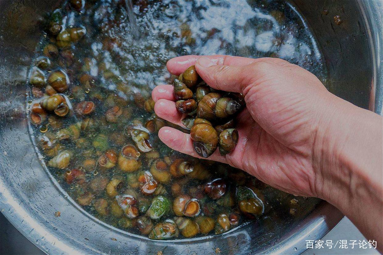 夏天这样钓青鱼，钓获几十斤不成问题