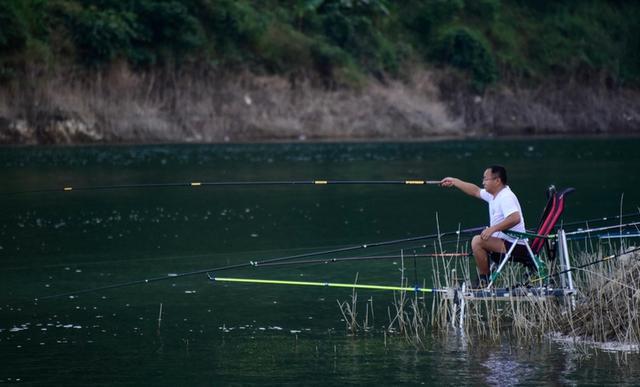 钓鲤鱼怎么选浮漂？