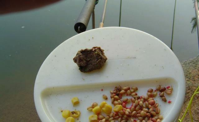 钓鲤鱼用什么饵料最好？（绝杀饵）