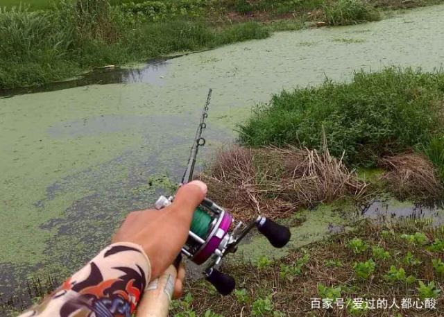 想要垂钓黑鱼，那么就要知道黑鱼的生活习性，这些值得学习