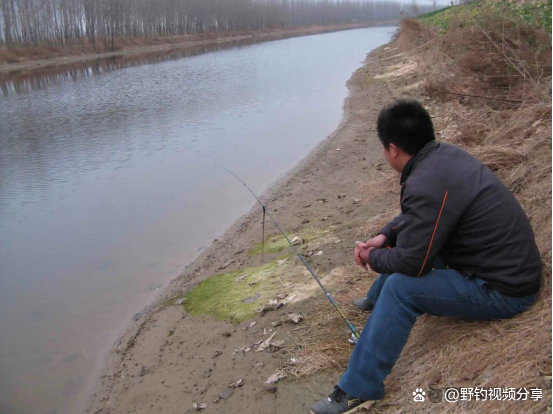 春季钓鲫必须知道的“5大核心技巧”，学会了大鱼咬竿不停！