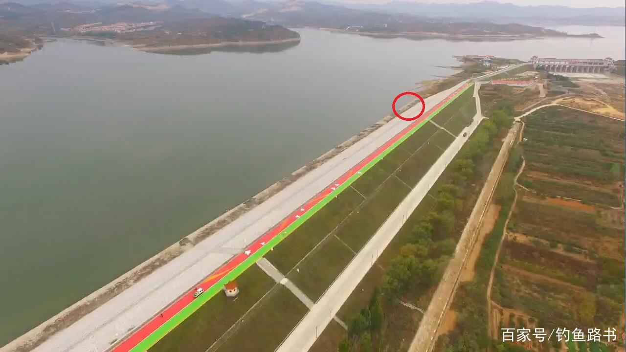 总结钓青鱼·草鱼的几种方法