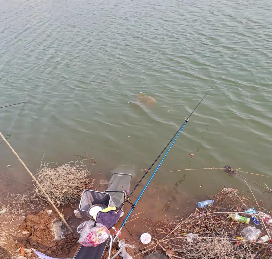 初春野钓时哪些湾道是好钓点？只要符合这个特征，肯定是个好钓点