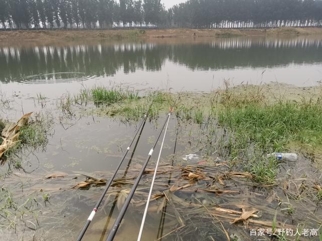 深秋钓鱼：选择钓点，什么的水深“鱼才多”，这些技巧不能小觑！