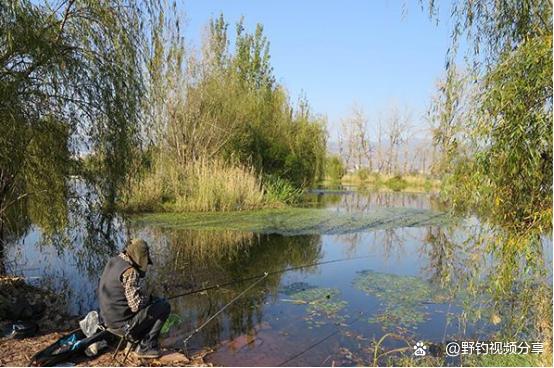夏季野钓，要抢这几处钓点，下钩就有鱼，连竿到手软，妥妥爆护