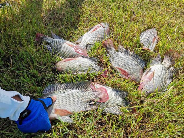 昆明周边休闲垂钓攻略，10个水库钓点收藏好，够你慢慢钓一年