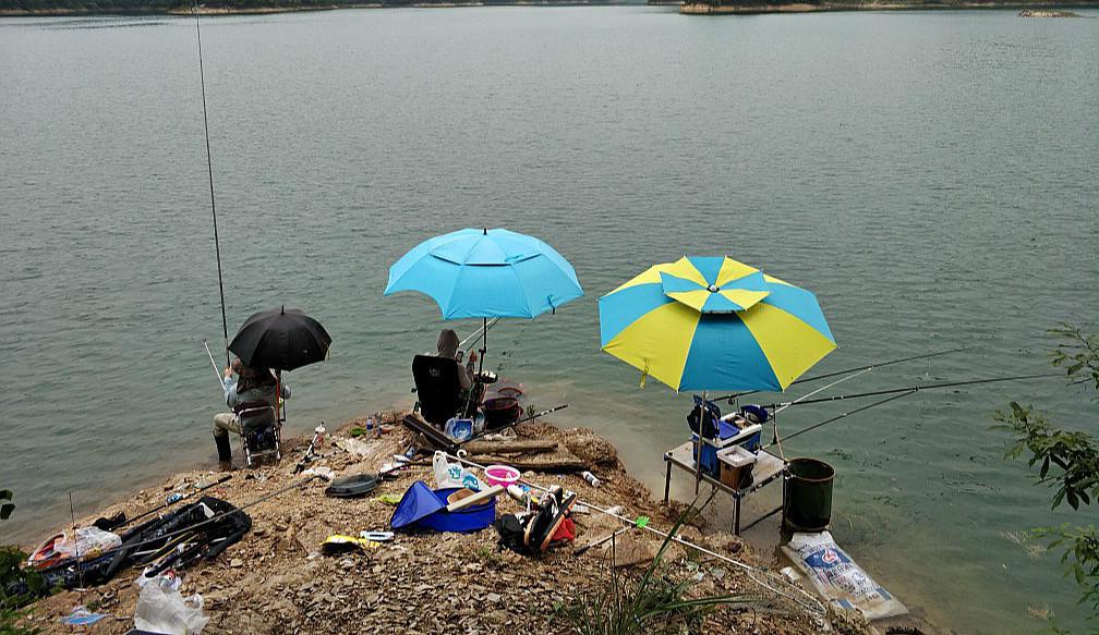 遇到退水就钓不到鱼了？真相并不是这样，这种鱼退水其实更好钓