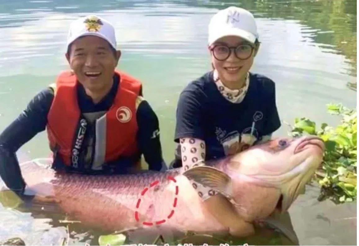 两条巨青的争论：钓鱼大师在东江三天守两鱼，究竟是做假还是实钓