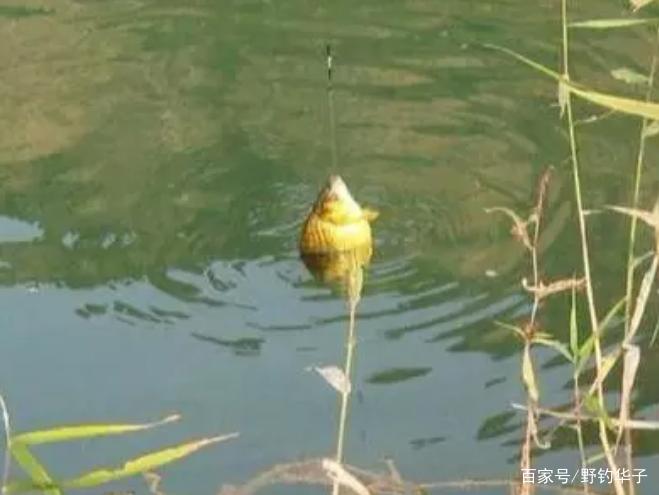 春季钓鱼，这3种钓点才最“藏鱼”（推荐）