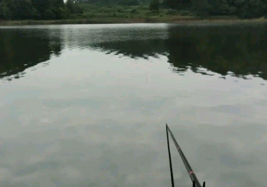 夏季水库钓青鱼，不知道怎么钓？实战告诉你，哪些问题更重要