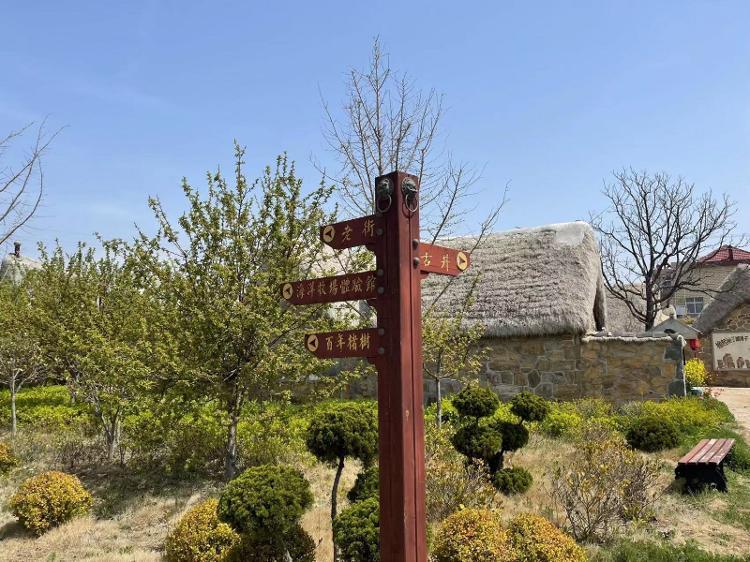 行走黄渤海丨海钓、养鱼、海草房，威海这座小渔村满足你对海边的所有幻想