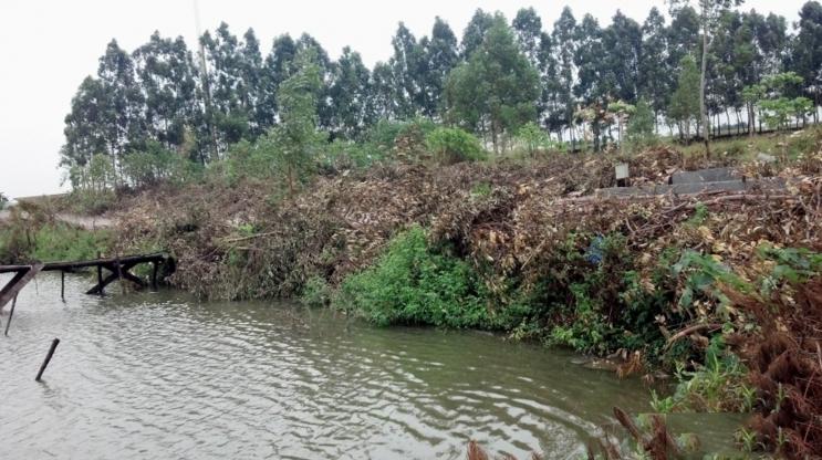 南方的冬天还可以钓罗非，说说我的经验