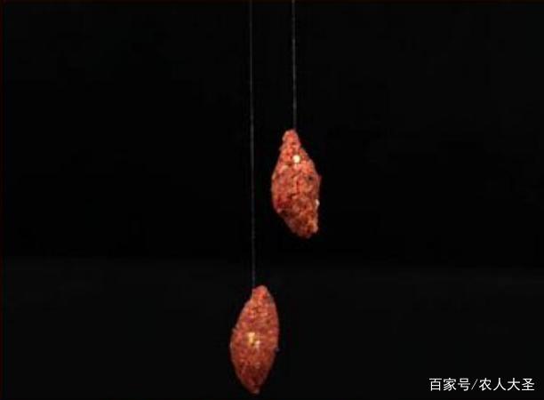 野钓如何钓鲤鱼、鲫鱼、骨鱼