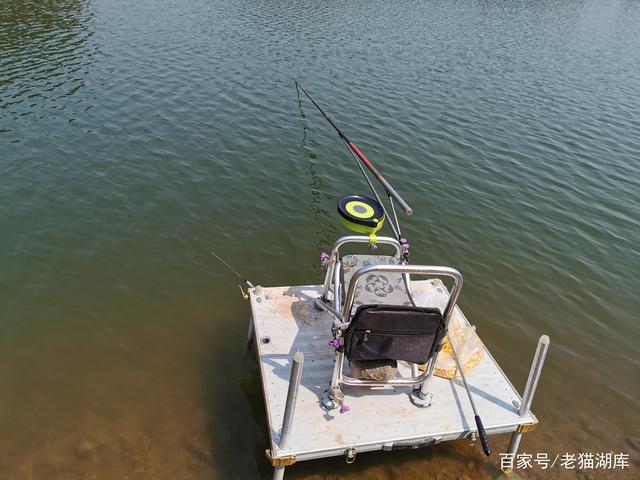 青鱼钓场连续上大青鱼，到底是怎么做到的