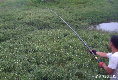 钓黑鱼——手竿技巧篇