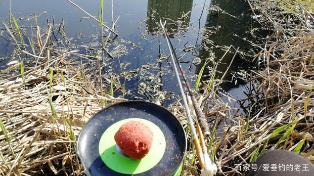 夏季钓鲤鱼的几大诀窍！一般人学不来，用了十年 至今依然奏效
