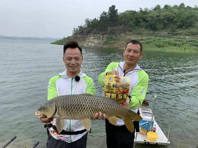 六月份如何钓鲤鱼？这三个细节没有忽视，上鱼才会更多更快