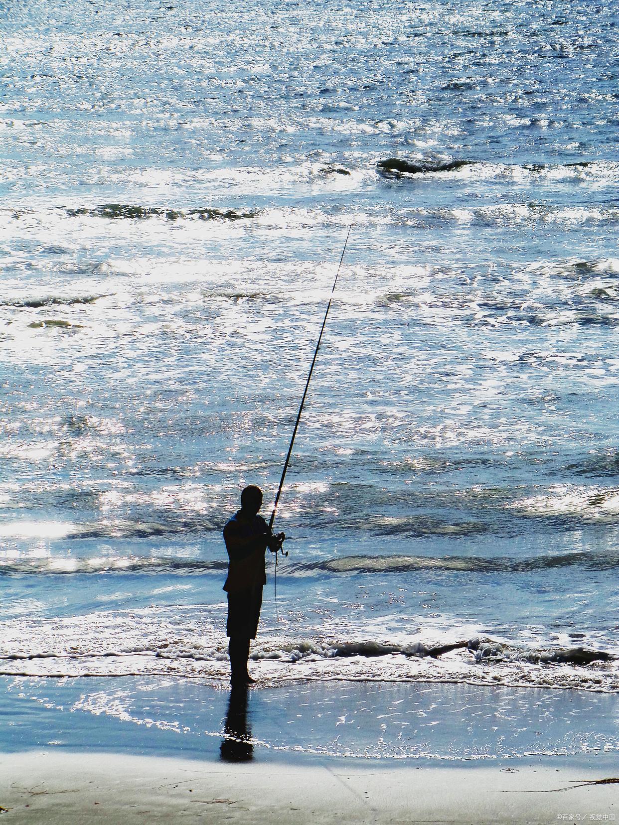 冬季钓鲤鱼调几钓几最好？