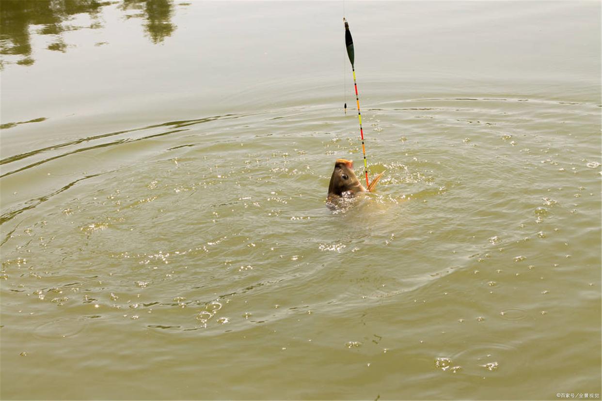 钓大鲤鱼的3种打窝方式，不仅节约窝料，还节省时间！