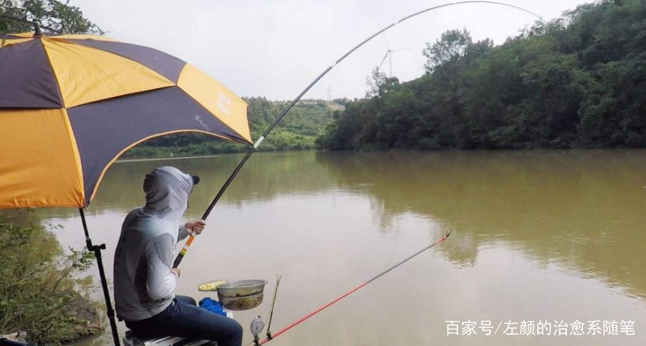 垂钓青鱼时的几点技巧和注意事项，帮你有效增加渔获！