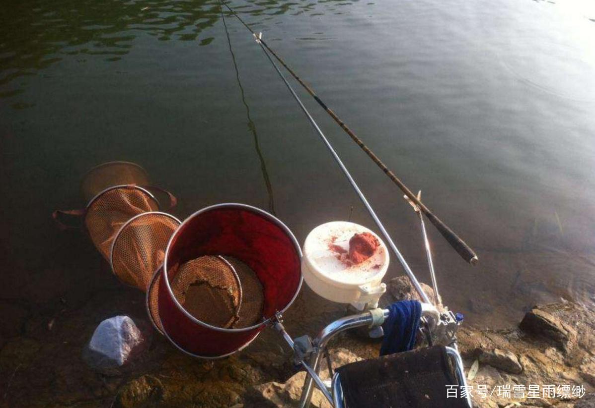 钓罗非要用妙招，这些实战技巧，能帮你走上钓鱼巅峰