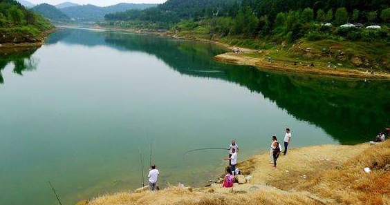 钓青鱼的好方法，用了好几年，每次都能钓到很多青鱼